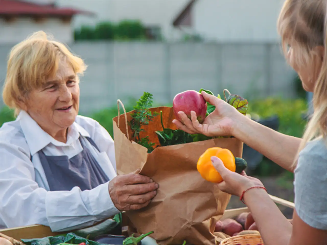 Hambre y Alzheimer: una crisis oculta que necesita nuestra atención